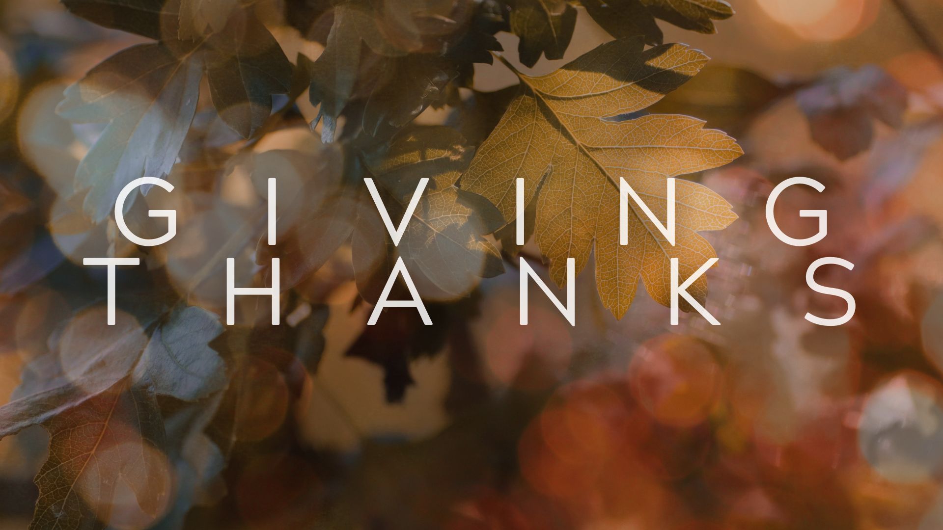 giving Thanks (1)